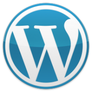 WordPress wp-admin redirect loop problem